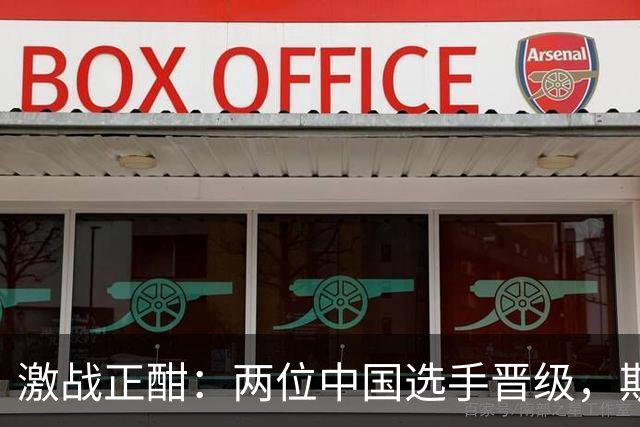 激战正酣：两位中国选手晋级，斯佳辉遗憾出局
